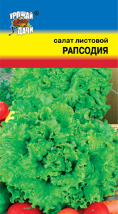 Салат Рапсодия листовой  купить