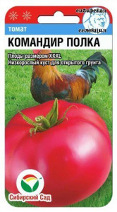 Томат Командир полка  купить