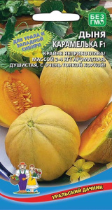 Дыня Карамелька F1  купить