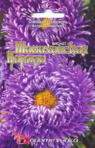 Астра Шамаханская царица Виолет 30 шт купить