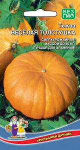 Тыква Веселая Толстушка  купить