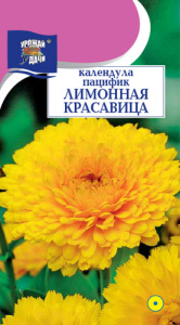 Календула пацифик Лимонная Красавица  купить