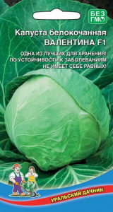 Капуста Валентина F1  купить