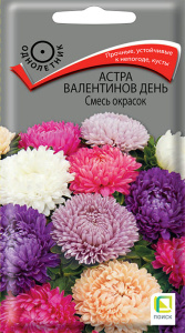 Астра Валентинов день Смесь окрасок купить