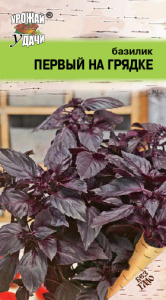 Базилик ПЕРВЫЙ НА ГРЯДКЕ купить