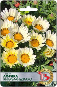 Газания Африка Килиманджаро купить