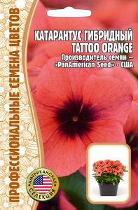 Катарантус Тату F1 Орандж (Tattoo Orange) купить