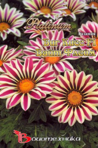 Газания Биг Кисс F1 Вайт Флейм 5 шт купить