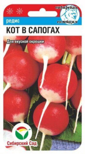 Редис Кот в сапогах  купить