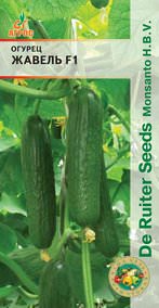 Огурец Жавель F1 5шт купить