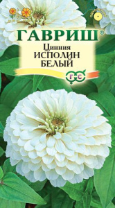 Цинния Исполин белый  купить