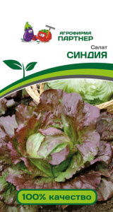 Салат Синдия  купить