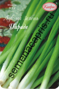 Лук Параде/1шт, на зелень купить