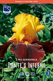 Ирис germanica Dante's Inferno /1шт купить