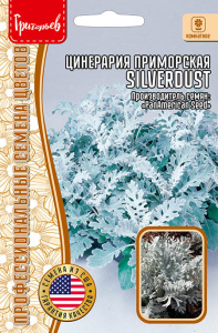 Цинерария приморская Сильвердаст купить