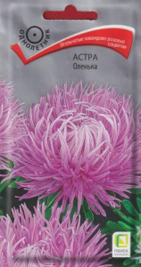 Астра Оленька купить