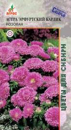 Астра Эрф.карлик Розовый 0,3г купить