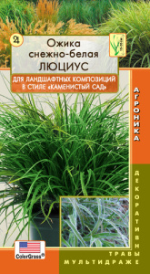 Ожика снежно-белая Люциус  купить