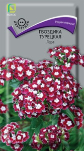 Гвоздика Турецкая Лара купить