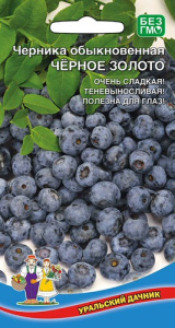 Черника Черное Золото  купить