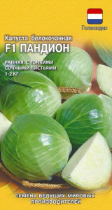 Капуста Пандион F1 купить