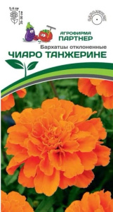 Бархатцы Чиаро Танжерине отклоненные купить