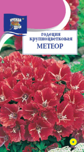Годеция Метеор крупноцветковая  купить