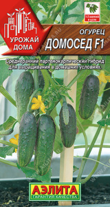 Огурец Домосед F1 купить