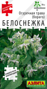 Огуречная трава Белоснежка Диковинные овощи купить