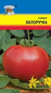 Томат Белоручка  купить