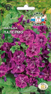 Мальва Палермо  купить