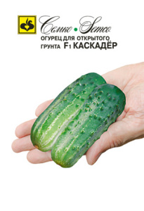 Огурец Каскадер F1 купить