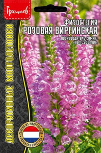 Физостегия Розовая виргинская купить