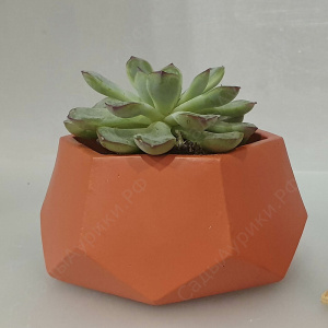 Кашпо Техно 0.22л лосось купить