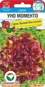 Салат Уно моменто купить