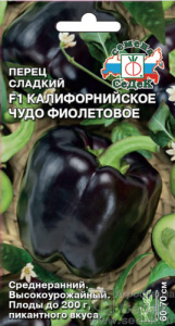 Перец Калифорнийское чудо фиолетовое F1  купить