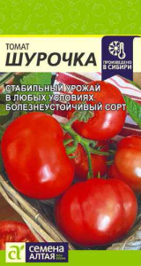 Томат Шурочка купить