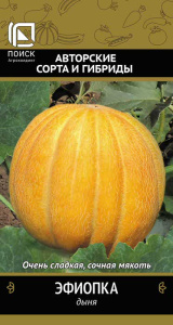 Дыня Эфиопка купить