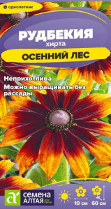 Рудбекия хирта Осенний Лес купить