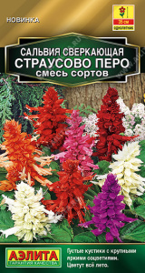 Сальвия Страусово перо, смесь  купить