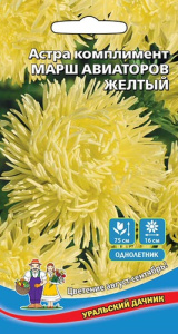 Астра комплимент Марш авиаторов желтый  купить