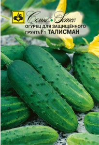 Огурец Талисман F1 купить
