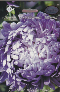 Астра Серебряная Башня/1шт купить