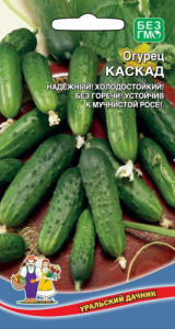 Огурец Каскад  купить