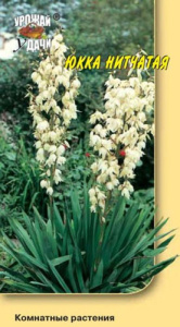 Юкка Нитчатая купить