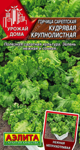 Горчица сарептская Кудрявая крупнолистная купить