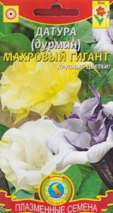Датура (Дурман) Махровый гигант  купить