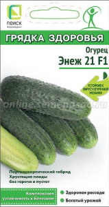 Огурец Энеж 21 F1 Грядка здоровья купить