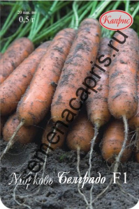 Морковь Белградо F1 /1шт купить