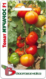 Томат Мучачос F1 купить